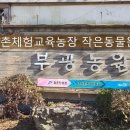 부광 농장 이미지