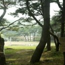 이작도·승봉도 Daum카페