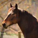 한국폴리텍 V 대학 전남캠퍼스 이미지