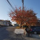 고무마을회관 이미지