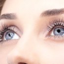 비타민 모터스 이미지