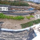갓준하다