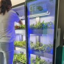 미니목장 이미지