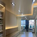 미사 센트럴 동물병원 | 노견 심장병 강아지 경추디스크 의심 엑스레이 진료 영수증 하남 [미사센트럴동물병원]