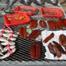 선두4리항 이미지