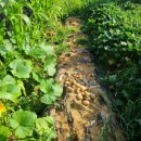 말밭농장 이미지