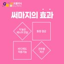 잠실미의원 이미지