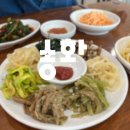 수제비야 덕양점 | [경기도 고양시 덕양구 쭈꾸미 맛집] 성사동 송화 산채보리밥 수제비 아이와 가기 좋은 식당 주말 외식