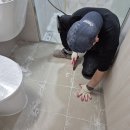 한 큐 | 김해 케라폭시 줄눈과 욕조실리콘 재시공을 한번에, 주촌 센텀큐시티 시공 후기!