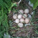 미래-2003 이미지