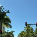 붕붕주유소 | 하와이 오아후 여행 7일차 코스｜아일랜드 빈티지 커피 후기 + 렌트카 연장 + 할로나 비치 코브