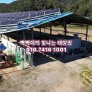 징의축산 티스토리