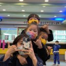 용인대 특전 합기도 이미지