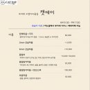 캣데이 이미지