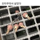 나에개 | ㄴ..니가 언제부터 2026년을 매입했는데