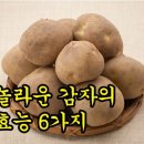 놀라운 감자의 효능 6가지 이미지