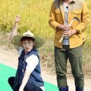 황금들녘 이미지