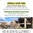 다이야몬드파크장 네이버블로그