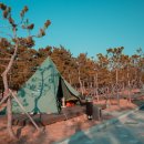 염전해변 이미지