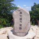 망우산 Daum카페