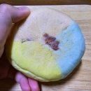 보름당 | 속초 보름당 레인보우 블루베리 요거트 크림치즈