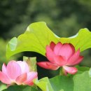 오현농장 이미지