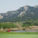 비아피 클럽 이미지