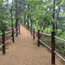 논고개로 334번길 이미지