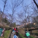 홍제2 공중화장실 | 📸 서대문 홍제폭포 벚꽃축제｜2026 봄빛축제 제대로 즐긴 리얼후기 (엄마들 저장각🌸)