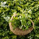 쑥향기한의원 이미지