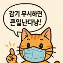 땀박골 | 줄 알고 버티다 벽에 박고 쓰러졌습니다... 코로나...무서운 A형 독감 리얼 치료 후기 (48시간이 골든타임)
