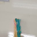 동이초등학교 이미지