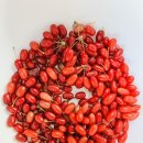 역이민자의 시골살이10 이미지