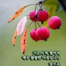 "1천만 명의 '도쿄' 시민들을 펑펑 울린 글" 이미지