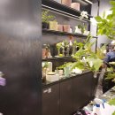 당산화원 이미지