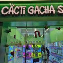 짱인형 SHOP 이미지