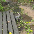 경하목장 | [화성]목장 카페, 아이와가기 좋은 곳