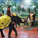 점보빌리지 이미지