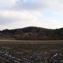 청송심씨묘역 이미지