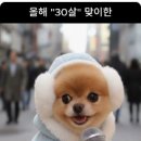 비밀 이미지