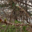 효경농장 이미지