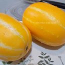 산지직송으로 받은 고당도 로얄과 델푸릇 성주참외 솔직후기