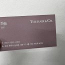 헤어 382