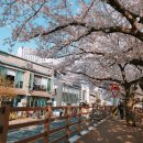 온천천로 이미지