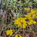 행복이꽃피는약국 이미지