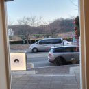 레이백커피