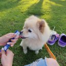 오복누리 이미지