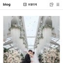 엘리제 | 포엘리제 스냅 계약 후기 | 더링크호텔 베일리홀 본식스냅 최종 선택 (짝궁 구해요)