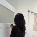 운양동 미용실 숱 많은 긴머리도 가볍게, 하이 레이어드 컷 후기 | 살롱드유니