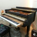 예향피아노학원 이미지